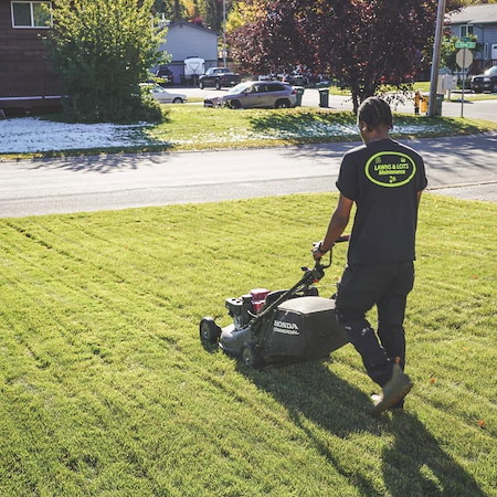 How Often Should You Mow Your Lawn During an Anchorage Summer? Thumbnail