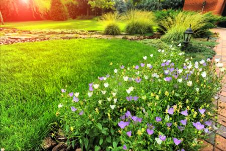 The Science Behind Effective Fertilization & Weed Control for Anchorage Lawns Thumbnail