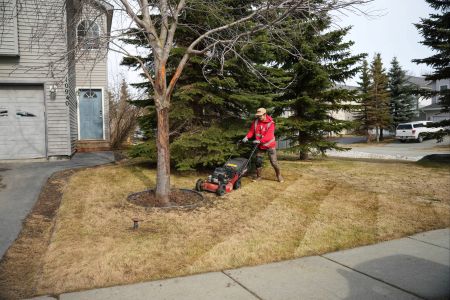 Lawn mowing