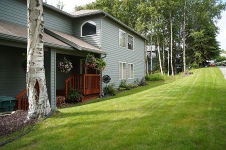 Seasonal Property Clean-Up Thumbnail